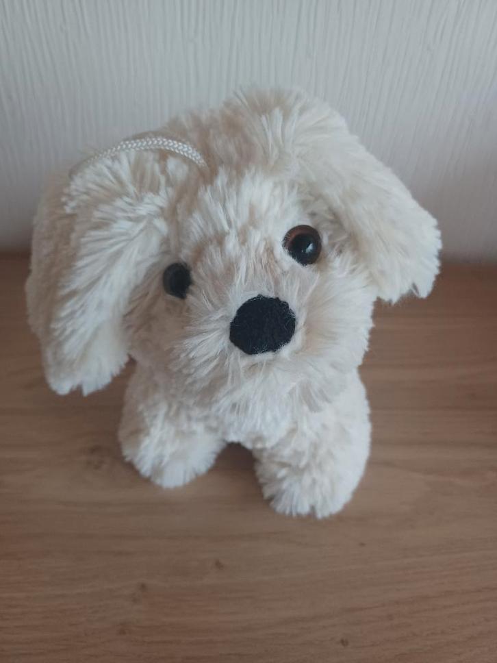 NIEUW - Knuffel Hondje, Kinderen en Baby's, Speelgoed | Knuffels en Pluche, Nieuw, Hond, Ophalen of Verzenden