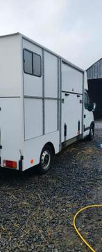 Camion chevaux, Autos, Achat, 3 places, 2 portes, Diesel