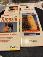 4 reisgidsen 2 x Tunesië en 2 x Djerba., Enlèvement