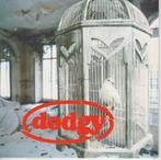 Single en vinyle 45T (7") de Dodgy (vinyle blanc ! ! !)., Enlèvement ou Envoi, 1980 à 2000, Comme neuf, Autres formats