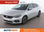 Fiat Tipo 1.6 JTDM Lounge (année de construction 2016), Argent ou Gris, Achat, 1370 kg, Boîte manuelle
