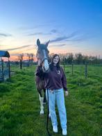 Hulp bij de paarden aangeboden! Stalhulp, Dieren en Toebehoren, Stalling