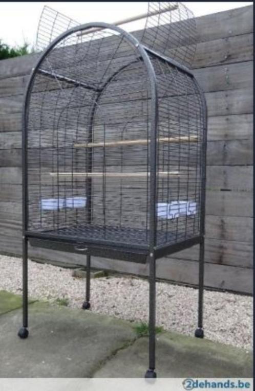 Papegaaienkooi - Reno, Dieren en Toebehoren, Vogels | Hokken en Kooien, Nieuw, Vogelkooi, Metaal, Ophalen of Verzenden