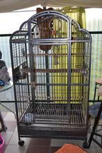 Cage pour perroquets, Autres matériaux, Enlèvement, Utilisé, Cage à oiseaux