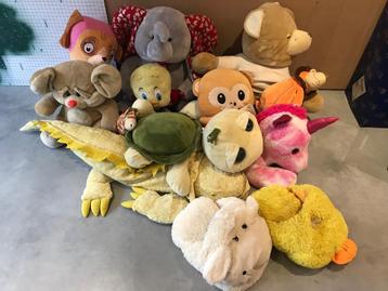 Lot knuffels! beschikbaar voor biedingen