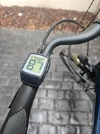 Elektrische fiets trek model victoria, Fietsen en Brommers, Zo goed als nieuw, 51 tot 55 cm, 50 km per accu of meer, Ophalen