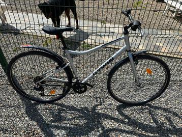 3 stadfietsen dames te koop beschikbaar voor biedingen