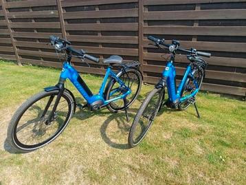 E bike gazelle ultimate c8 + intube 500watt belt hmb bosch  beschikbaar voor biedingen