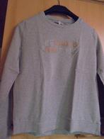 Grijze pull Small, Enfants & Bébés, Vêtements enfant | Taille 176, Enlèvement ou Envoi, Comme neuf, Fille, Pull ou Veste