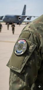 EAP Estland tone down, Verzamelen, Verzenden, Luchtmacht, Embleem of Badge