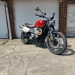Triumph Scrambler 1200 X, Motoren, Motoren | Triumph, 2 cilinders, Motorrijbewijs A, Bedrijf, ABS
