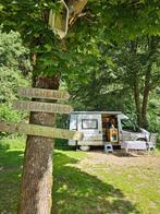 Camper, Caravans en Kamperen, Mobilhomes, Ford, Tot en met 2, 7 tot 12 maanden geleden, Particulier