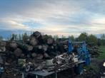 Container stammen olm te koop, Troncs d'arbres, Enlèvement ou Envoi