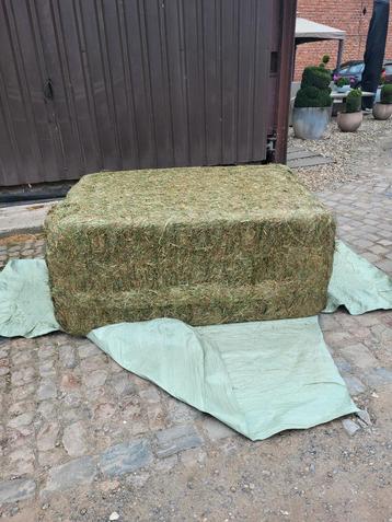 Voordroog hooi 1ste snede  beschikbaar voor biedingen