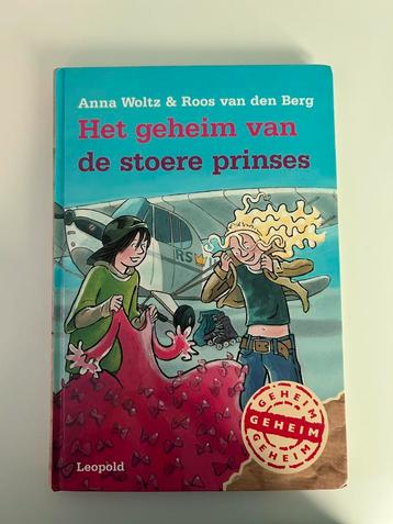 Roos van den Berg - Het geheim van de stoere prinses beschikbaar voor biedingen