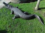 crocodile en bronze , jet d eau , long 2 M !!!, Fontaine, Autres matériaux, Enlèvement ou Envoi, Neuf
