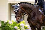 LeMieux Loire Oornetje Jay Blue Full, Dieren en Toebehoren, Paarden en Pony's | Hoofdstellen en Tuigage, Ophalen of Verzenden