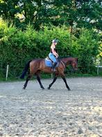Brave 6 jarige ruin