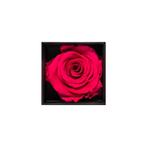 Cube noir avec roses éternelles 100% naturelles 8x8x8cm, Verzamelen, Overige Verzamelen, Ophalen, Nieuw