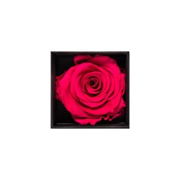 Cube noir avec roses éternelles 100% naturelles 8x8x8cm beschikbaar voor biedingen