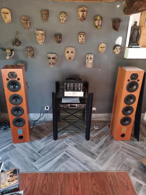 Triangle Lyr XS-luidsprekers, Audio, Tv en Foto, Luidsprekerboxen, Zo goed als nieuw, Front, Rear of Stereo speakers, 120 watt of meer
