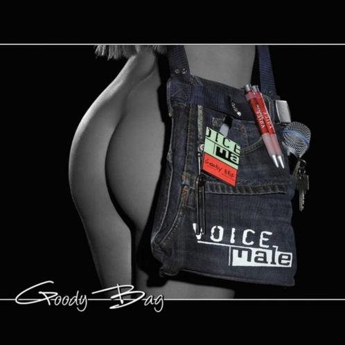 Voice Male - Goody Bag, CD & DVD, CD | Pop, Enlèvement ou Envoi