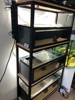 Kweekstelling aquarium, Ophalen, Gebruikt, Gevuld zoetwateraquarium