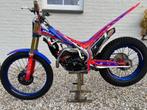 moto BETA 125 TRAL FACTORY 2024, Ophalen, 1 cilinder, 11 kW of minder