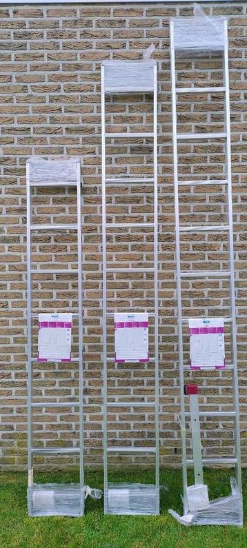 NIEUWE Enkele ladders / stokladders 8 - 10 - 11 treden