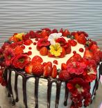 Gâteaux anniversaire sur Liège, Hobby & Loisirs créatifs, Confection de Gâteaux & Cupcakes, Comme neuf