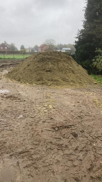 Droge paddock Zavel gezocht  beschikbaar voor biedingen