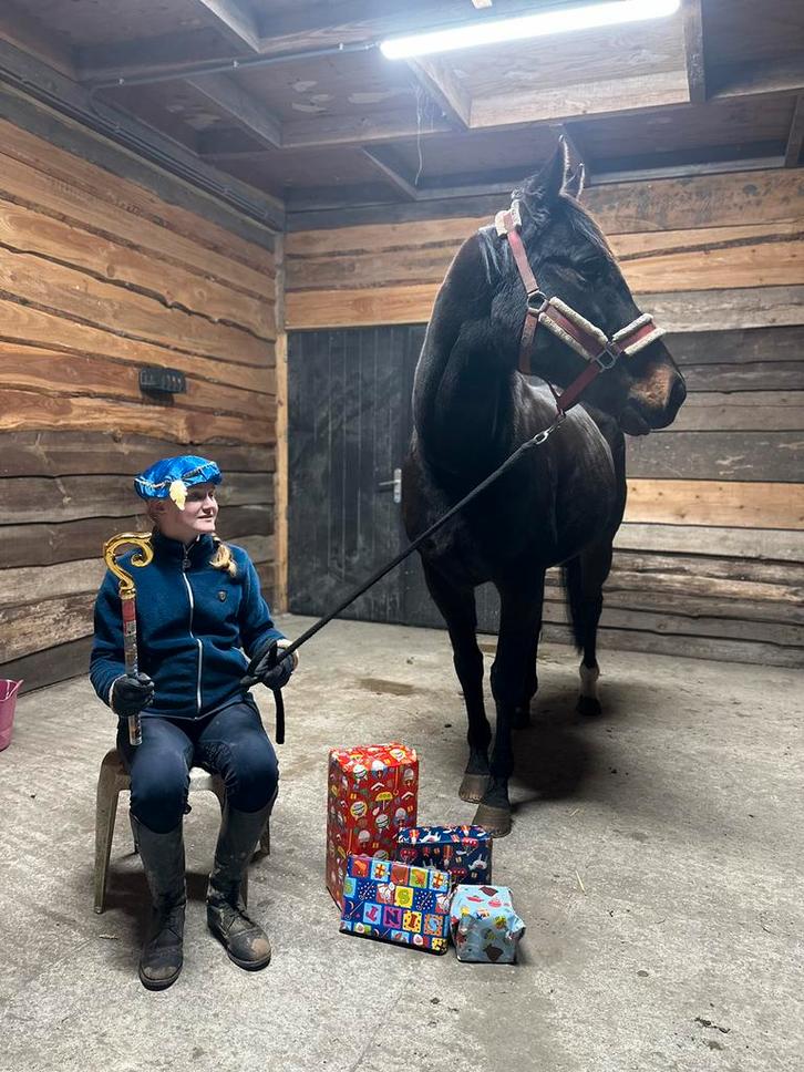 Brave recreatie merrie, Dieren en Toebehoren, Paarden, Merrie, 160 tot 165 cm, 11 jaar of ouder, Dressuurpaard