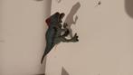 Schleich dino, Ophalen of Verzenden, Gebruikt, Reptiel of Amfibie, Beeldje of Figuurtje