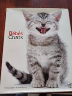 Livre chats, Boeken, Dieren en Huisdieren, Ophalen, Zo goed als nieuw, Katten