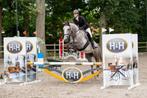 Super brave en talentvolle 5 jarige merrie, Dieren en Toebehoren, Merrie, Springpaard, Gechipt, 3 tot 6 jaar