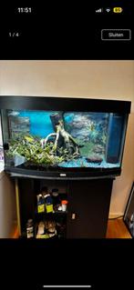 Aquarium juwel vision 180, Ophalen, Zo goed als nieuw