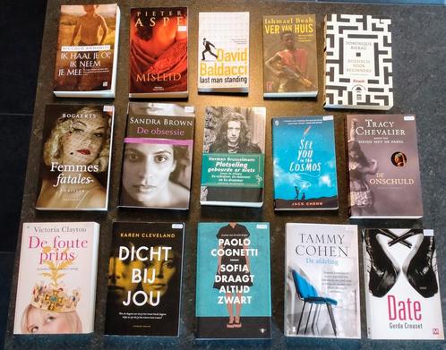 Boeken volwassenen: fictie & waargebeurd, Boeken, Stock en Verzamelingen, Zo goed als nieuw, Verschillende onderwerpen, Ophalen