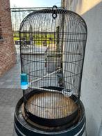 Mooie ruime vogelkooi,vogelkooien, Ophalen, Zo goed als nieuw, Vogelkooi