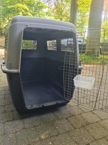 Hondenbench groot beschikbaar voor biedingen