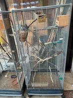 Vogelkooi met Roodkopamadine en muskaatvink, Ophalen, Gebruikt, Vogelkooi