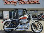 Harley-Davidson XL883 Low, Motos, Autre, Entreprise