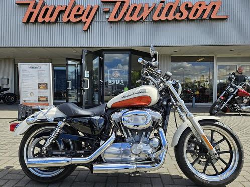 Harley-Davidson XL883 Low, Motos, Motos | Harley-Davidson, Entreprise, Autre