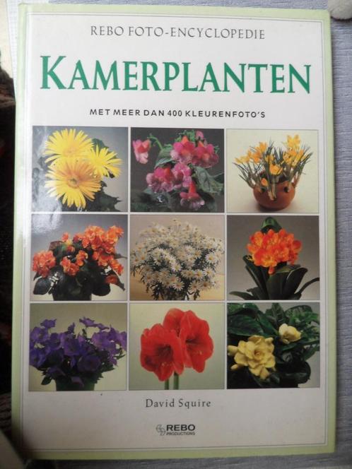 rebo foto-encyclopedie kamerplanten, Livres, Maison & Jardinage, Comme neuf, Plantes d'intérieur, Envoi