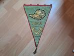 Vaandel Ardeense Jagers, Ophalen of Verzenden, Landmacht, Embleem of Badge