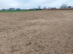 Landbouwgrond  te koop in Berlaar., Immo