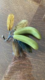 Bananen decoratie, Ophalen, Gebruikt