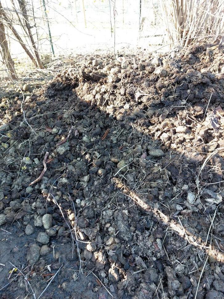 Gratis paardenmest (pony's)., Tuin en Terras, Aarde en Mest, Mest, Ophalen