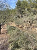 Cherche. Tondeuse  a gazon neuve, Tuin en Terras