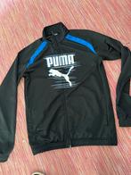 Puma maat 14 jaar is als een small, Vêtements | Hommes, Pulls & Vestes, Comme neuf, Taille 46 (S) ou plus petite, Autres couleurs