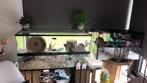 Terrarium met schuifdeuren, Dieren en Toebehoren, Knaagdieren en Konijnen | Hokken en Kooien, Minder dan 60 cm, 75 tot 110 cm